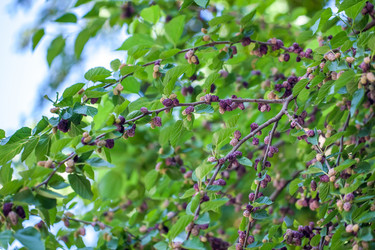 Similar image 13076563