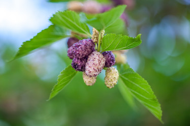 Similar image 13076581