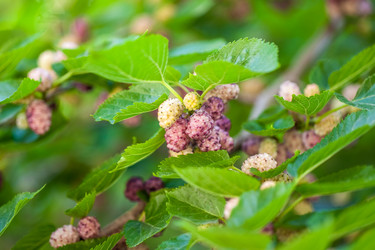 Similar image 13076582