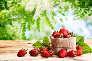 Similar image 13075255