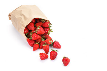 Similar image 13075259