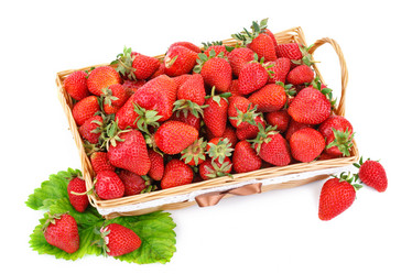 Similar image 13075277