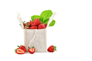 Similar image 13075279