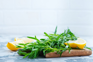 Similar image 13075605