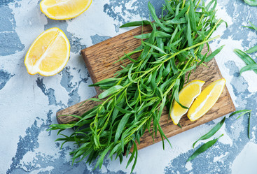 Similar image 13075606