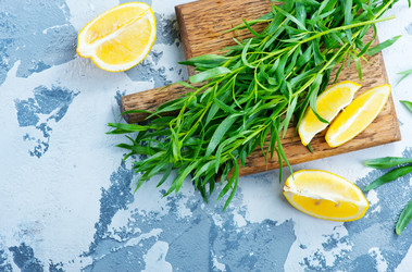 Similar image 13075607