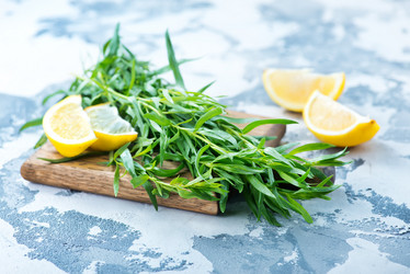 Similar image 13075608