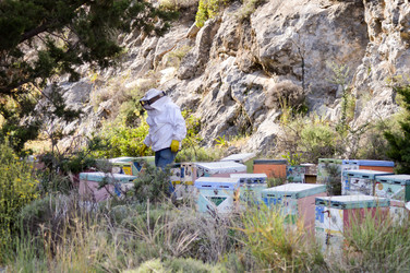 Similar image 13071140