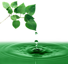 Similar image 13071119