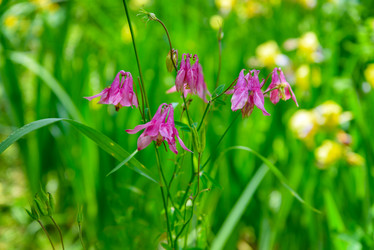 Similar image 13071100