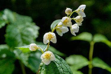 Similar image 13071102