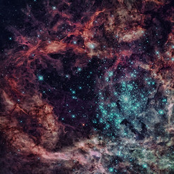 Similar image 13077220