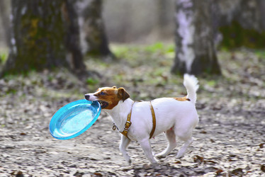 Similar image 13071090