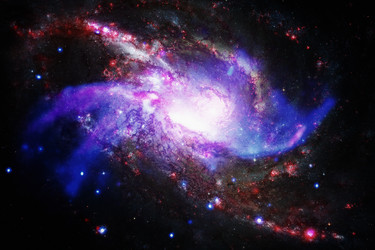 Similar image 13077084