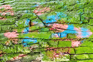 Similar image 13071183