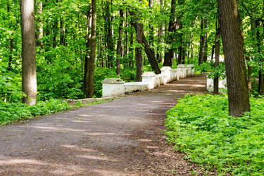 Similar image 13071184