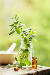 Similar image 13076514