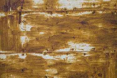 Similar image 13074896