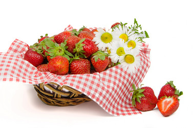 Similar image 13074864