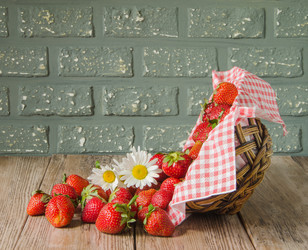 Similar image 13074868