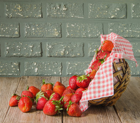 Similar image 13074869