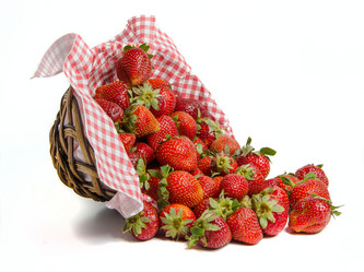 Similar image 13074871