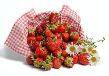 Similar image 13074872