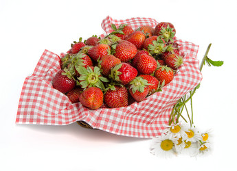 Similar image 13074873