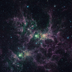 Similar image 13077132