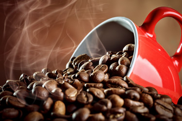 Similar image 13075131