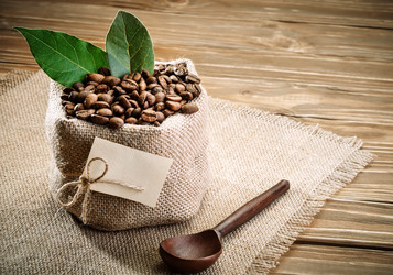 Similar image 13075184