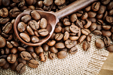 Similar image 13075186