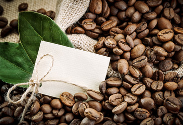 Similar image 13075190