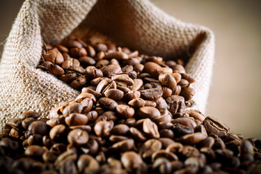 Similar image 13075191