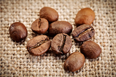 Similar image 13075192