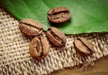 Similar image 13075207