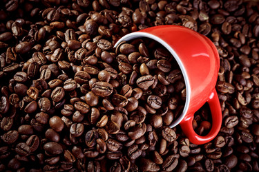 Similar image 13075208