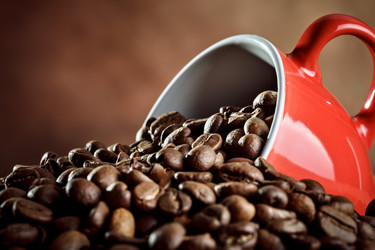 Similar image 13075210