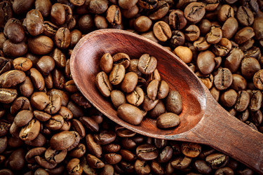 Similar image 13075212