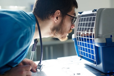 Similar image 13075022