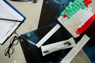 Similar image 13075024