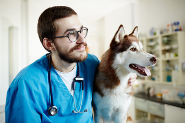 Similar image 13075037