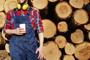 Similar image 13075339