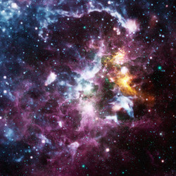 Similar image 13076889