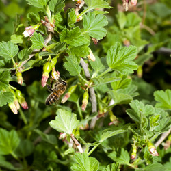 Similar image 13073023