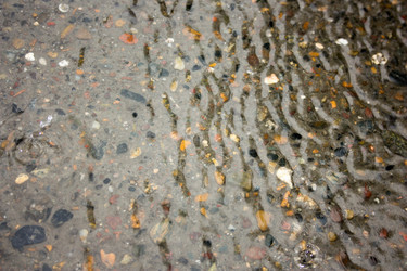 Similar image 13081687