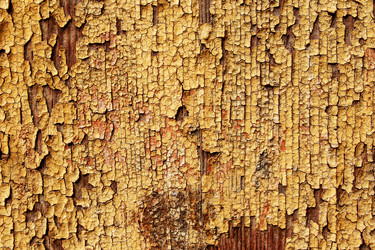 Similar image 13074524