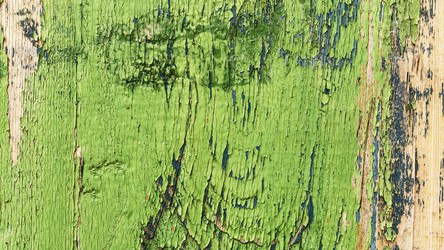 Similar image 13074526