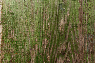 Similar image 13074527