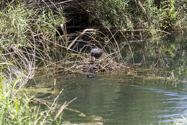 Similar image 13074254